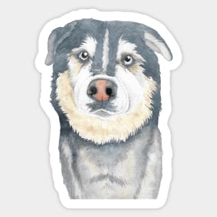 dog watercolor painting portrait pet Sticker